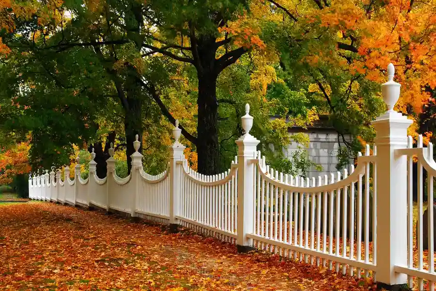 The Role Of Wood Fencing In Enhancing Curb Appeal Modesto, CA The Role Of Wood Fencing In Enhancing Curb Appeal Modesto, CA